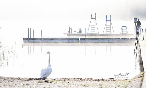 skanderborg Søbad-web- Fotograf Per Bille-20261019-DSC05086