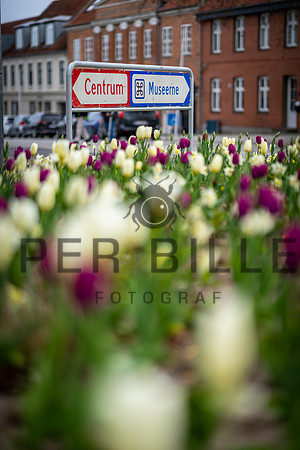 LYS NAT-web - Fotograf_Per_Bille-20230428DSC03596