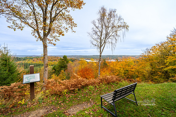 Store Knøs-web-Fotograf Per Bille 20251028-AAA05060