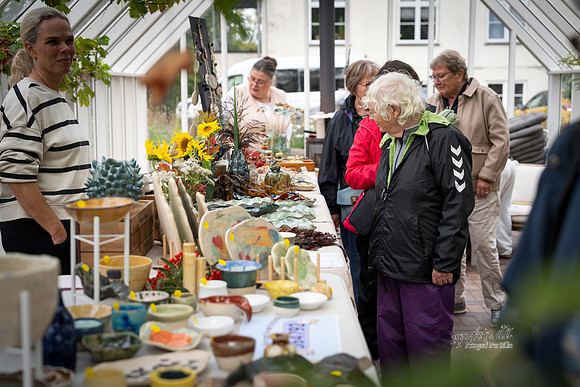 Flok-Web-Fotograf Per Bille-20260911DSC01219