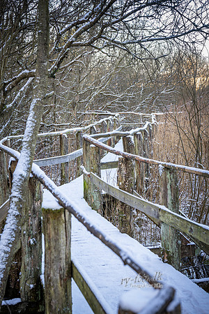Vinter Skanderborg-print-Fotograf Per Bille-20250103AAA06347