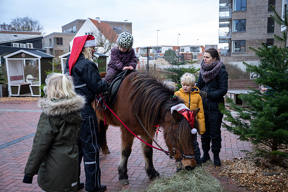 Jul i Ry-print - Fotograf_Per_Bille-20221211DSC08807