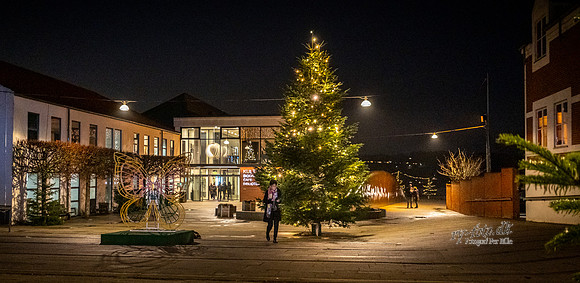 Jul i Skanderborg-web-Fotograf Per Bille 20251204-DSCF1214
