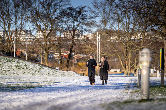 Vinter Skanderborg-web-Fotograf Per Bille-20250103AAA06254