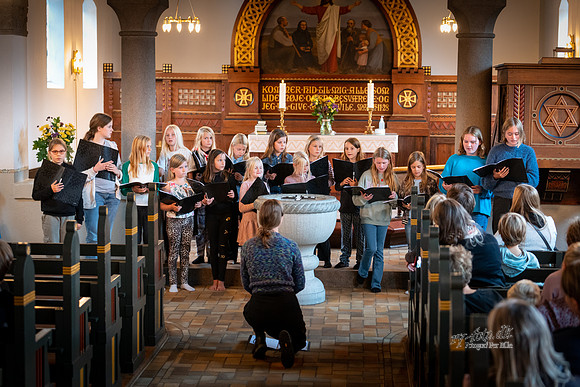 Kultur aften Ry-avis- Fotograf Per Bille-220923-DSC09536