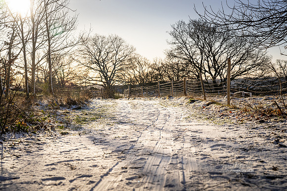 Vinter Galjebakken-print-Fotograf Per Bille-20250103AAA06093