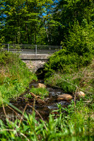 Jeksen Dal-print-fotograf Per Bille-20250512_DSF1500