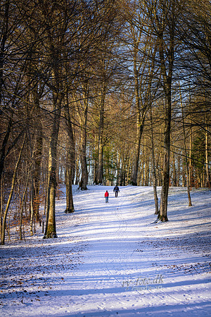 Vinter Skanderborg-print-Fotograf Per Bille-20250103AAA06327