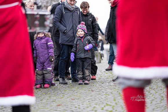 Juletræstænding-20151129-3065