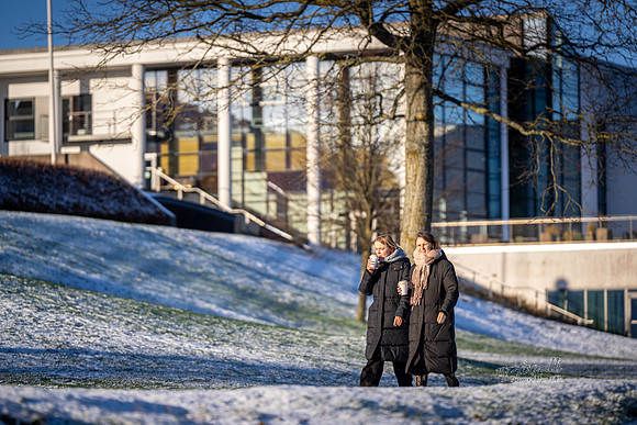 Vinter Skanderborg-web-Fotograf Per Bille-20250103AAA06255