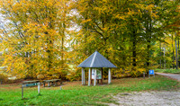 Efterårs skov - Sletten-web-Fotograf Per Bille 20251028-AAA05025