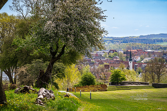 Skanderborg Bakker-web -fotograf Per Bille-20250426AAA01764