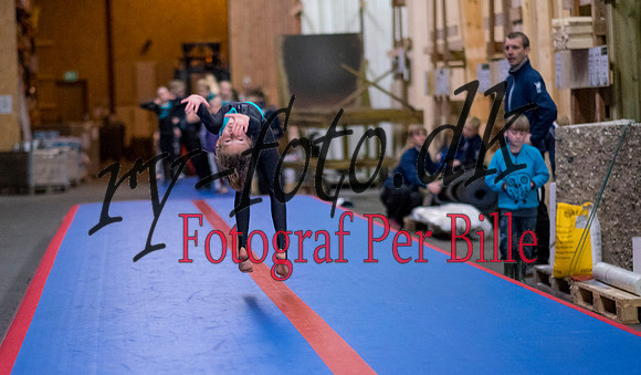 forårs messe-20150509-8279