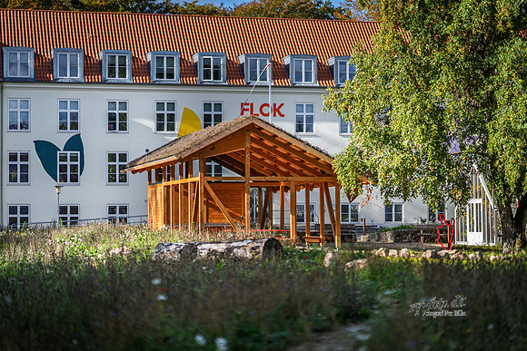 Flok-web- Fotograf Per Bille-20261017-AAA03394