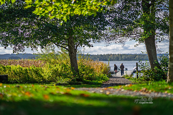 Vester Mølle-web- Fotograf Per Bille-20261017-AAA03529