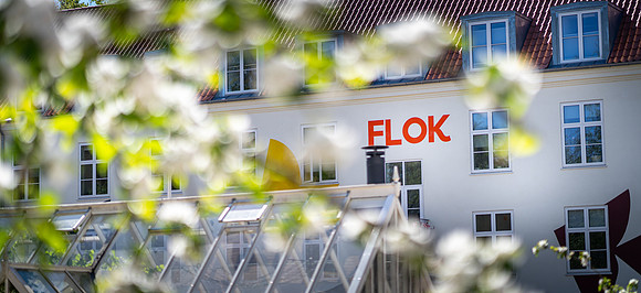 Flok - Fødselsdag-web- Fotograf Per Bille-20260508-AAA09276