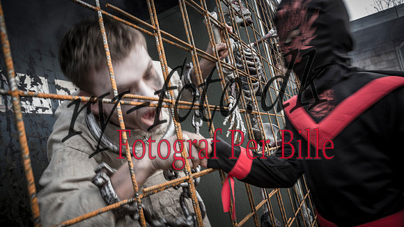 Halloween-20151029-8182