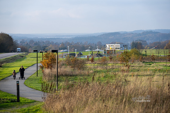 Kildebjerg, Ry-print - Fotograf Per Bille-20211102-DSC03936