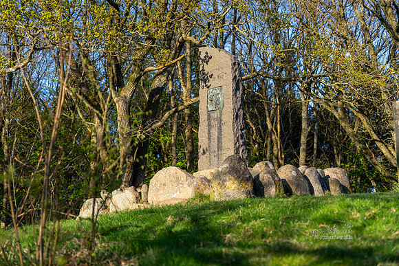 Khynsminde - Ry-web -fotograf Per Bille-20250424AAA01328