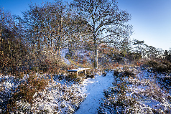 Vinter Galjebakken-web-Fotograf Per Bille-20250103AAA06096