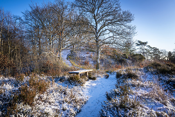 Vinter Galjebakken-print-Fotograf Per Bille-20250103AAA06096