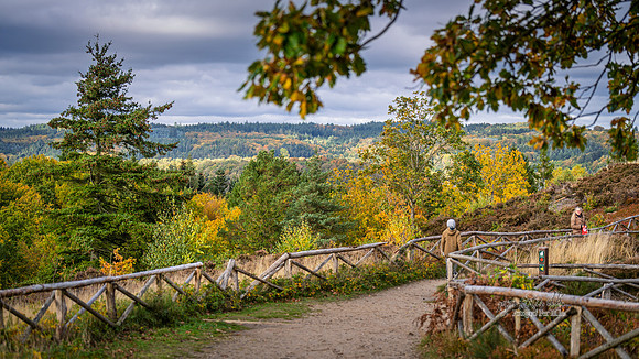 Himmelbjerg-web- Fotograf Per Bille-20261017-AAA03622