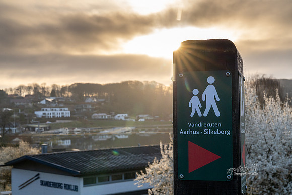 Skanderborg-web-fotograf Per Bille-20250407AAA06336