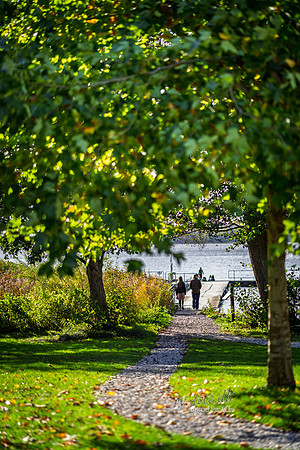 Vester Mølle-web- Fotograf Per Bille-20261017-AAA03520