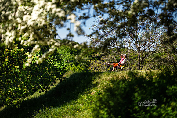 Skanderborg slotskirke-print-fotograf Per Bille-20250519AAA07060-Edit
