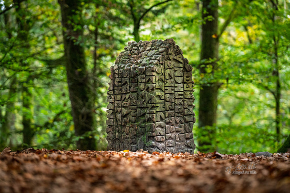 Himmelbjerg-web- Fotograf Per Bille-20261017-AAA03589