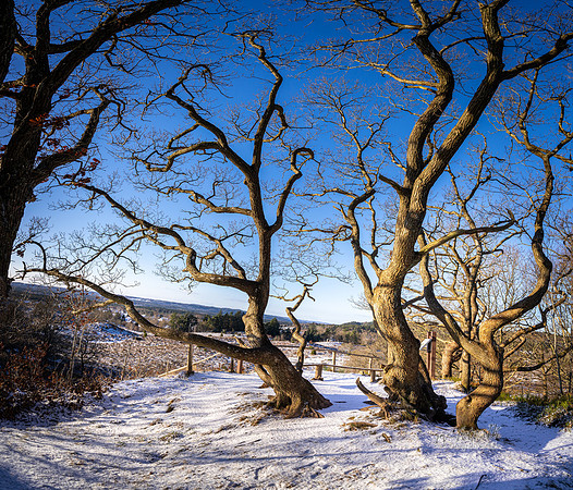 Vinter Galjebakken-print-Fotograf Per Bille-20250103AAA06120-Pano