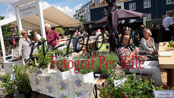 Sommermarked -20150801-3057