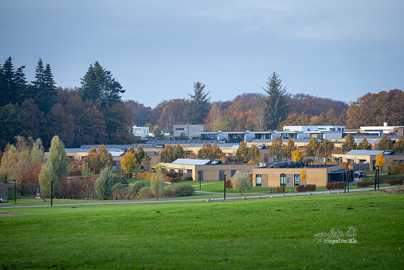 Kildebjerg, Ry-print - Fotograf Per Bille-20211102-DSC03960