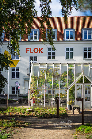 Flok-web- Fotograf Per Bille-20261017-AAA03409