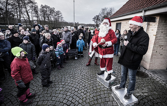 Juletræstænding-20151129-3115