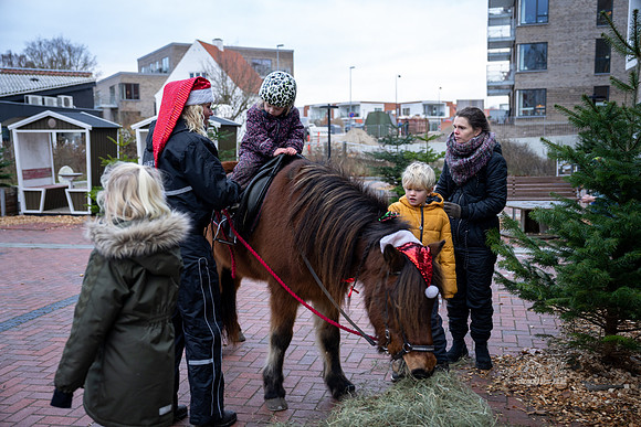 Jul i Ry-web - Fotograf_Per_Bille-20221211DSC08807