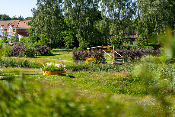 Låsby Søpark-web - Fotograf Per Bille-20250613-AAA06703