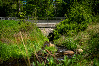 Jeksen Dal-print-fotograf Per Bille-20250512_DSF1497