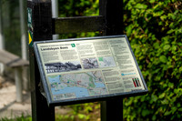 Boes-web - Fotograf Per Bille-20250717-AAA00946