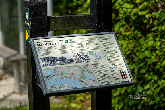 Boes-web - Fotograf Per Bille-20250717-AAA00946