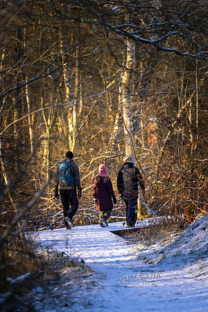 Vinter Himmelbjergruten-web-Fotograf Per Bille-20250103AAA06202