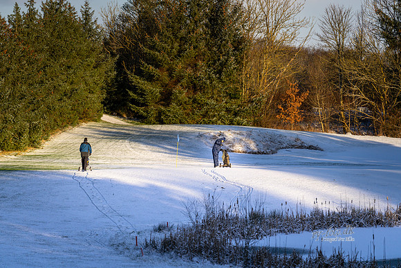 Vinter Golf-print-Fotograf Per Bille-20250103AAA06020
