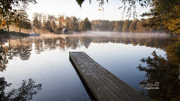efterår-9742