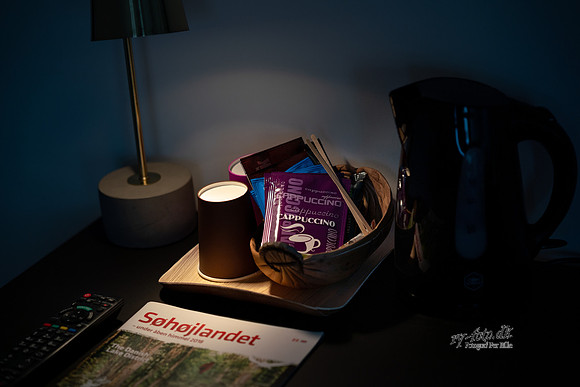 Hotelæ Ry - print - fotograf Per Bille -20190129-03185