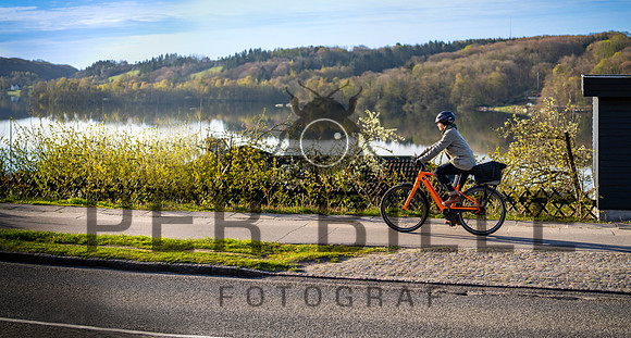 Klimaplan - cykel-print - Fotograf_Per_Bille-20230428DSC02429-Edit