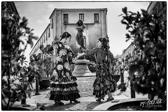 Flamenco-web - Fotograf Per Bille-20211012-DSC07189-Edit