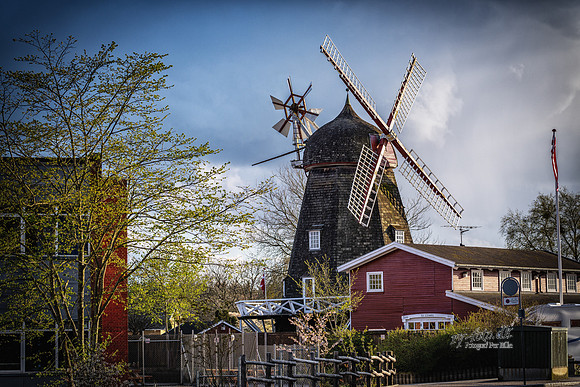 Ry mølle-Print - Fotograf_Per_Bille-20230426DSC01783-Edit
