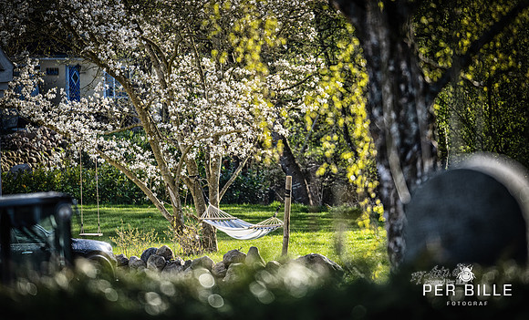Alling-web - Fotograf_Per_Bille-20230426DSC01752-Edit