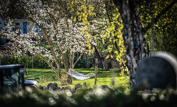 Alling-Print - Fotograf_Per_Bille-20230426DSC01752-Edit