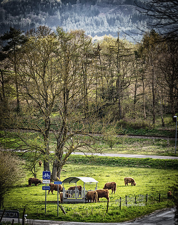 Alling-Print - Fotograf_Per_Bille-20230426DSC01769-Edit